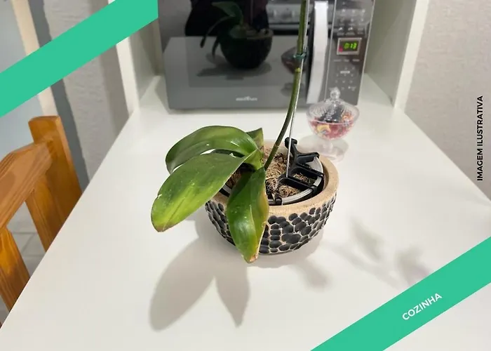 Apartamento Maravilhoso 2